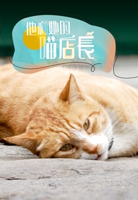Cat Me If You Can Depict The Old Hong Kong – 他和她的喵店長