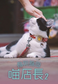 Cat Me – If You Can Depict The Old Hong Kong 2 – 他和她的喵店長2